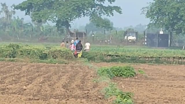 মেহেরপুরের রংমহল সীমান্ত দিয়ে ৬ জনকে বিএসএফের পুশইনের চেষ্টা ব্যর্থ