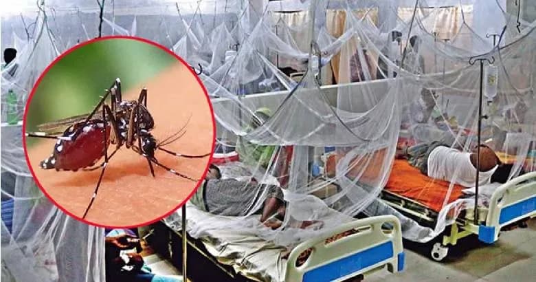 চলতি বছর ডেঙ্গুতে মৃত্যু ২০০ ছাড়াল